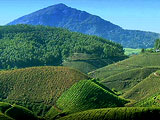 Hill Station of Kerala